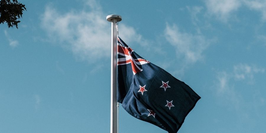 study and work in new zealand